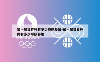 第一届世界杯有多少球队参加-第一届世界杯共有多少球队参加
