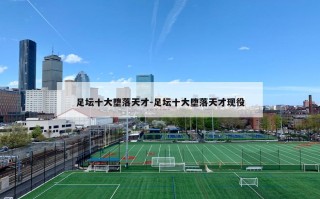 足坛十大堕落天才-足坛十大堕落天才现役