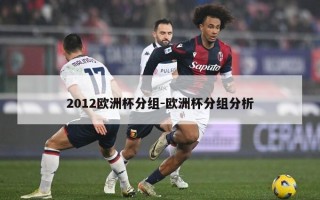 2012欧洲杯分组-欧洲杯分组分析