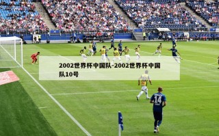 2002世界杯中国队-2002世界杯中国队10号