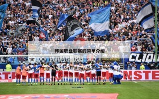 韩国职业联赛的简单介绍