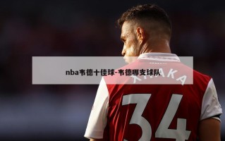 nba韦德十佳球-韦德哪支球队