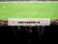 布福德-布福德霍利斯 大猪