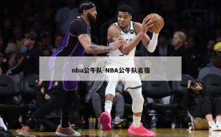 nba公牛队-NBA公牛队名宿